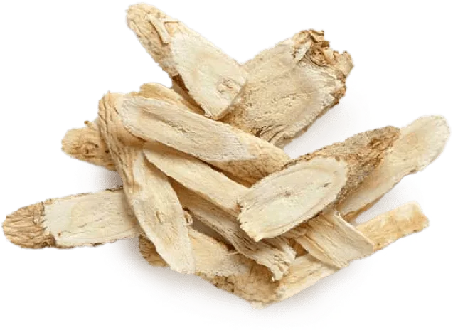 GlycoFortin Ingredient Astragalus Root Extract